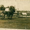 A10061