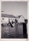 A11301