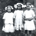 A11504