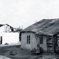 A11554