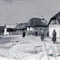 A11555
