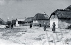 A11555