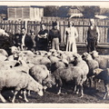 A12515
