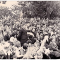 A12816