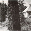 A12858