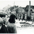 A13269