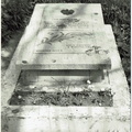 A13623