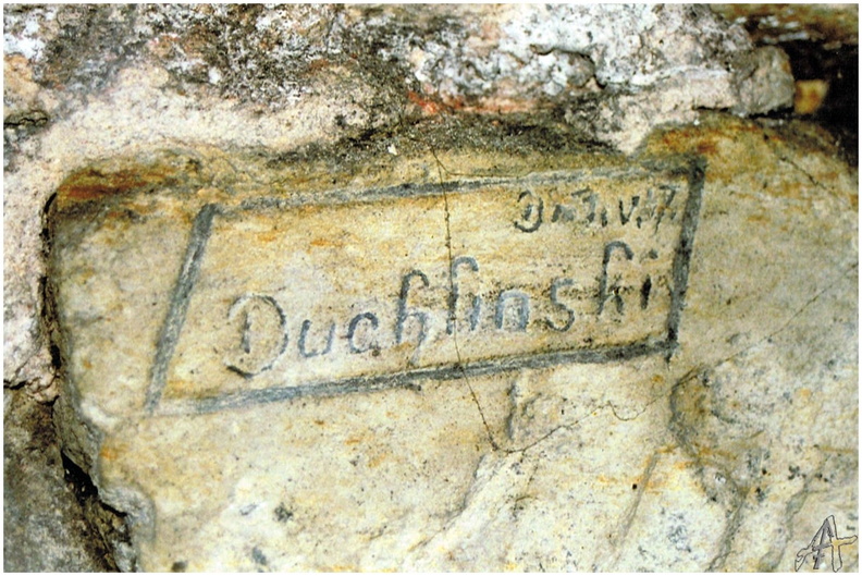 A13798.jpg