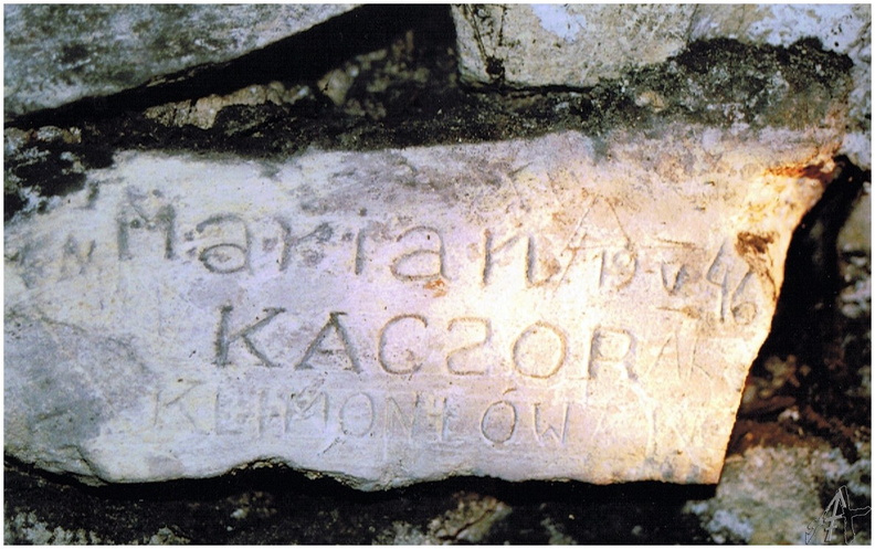 A13799.jpg