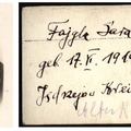 A13961