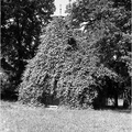 A14050