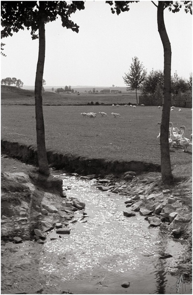 A14061.jpg